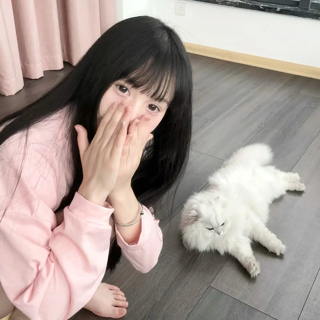 男才女貌2